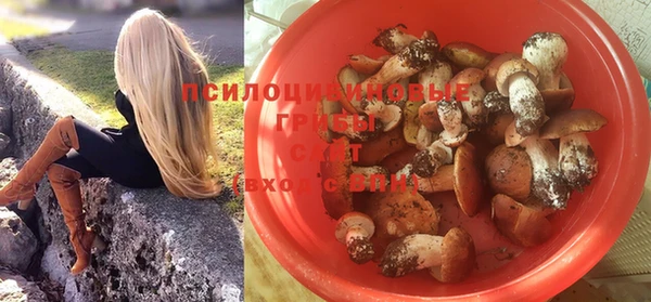 прущие крисы Алексин